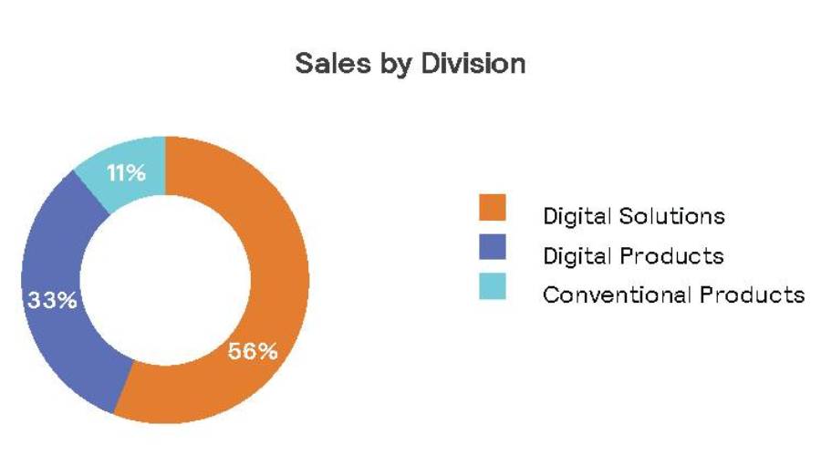 Sales by business divisions