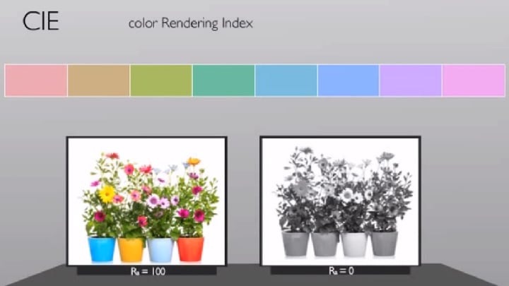 color rendering