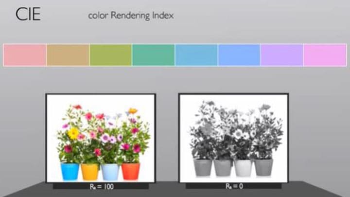 Color rendering