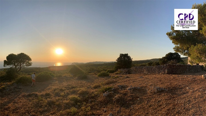 The living system lens