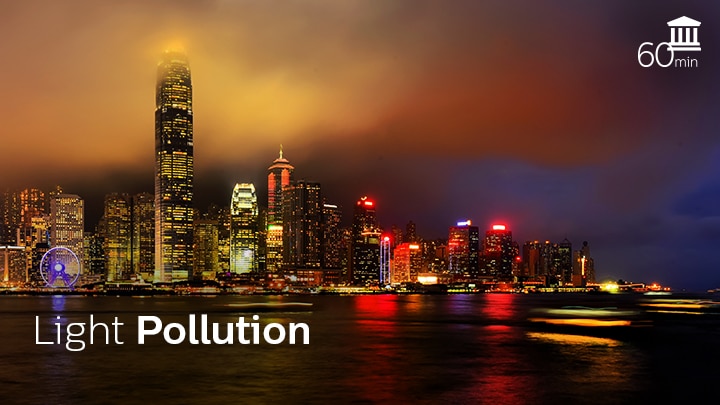 Light Pollution - The Effects on Animals and Humans | Signify Company  Website