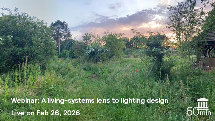 living system lens