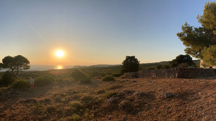 A living-systems lens to lighting design​