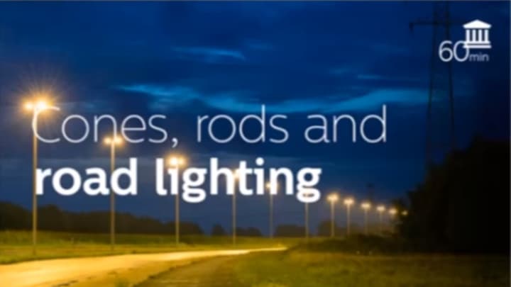 Mesopic Vision and Road Lighting