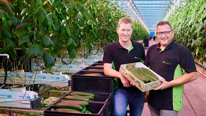 Improved climate control helps save energy with LEDs