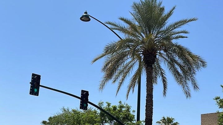 Creating a smart city with streetlight data networks in the city of Mesa, Arizona