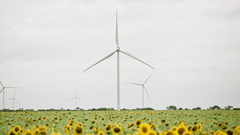 renewable electricity