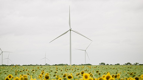 renewable electricity