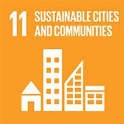 SDG 11