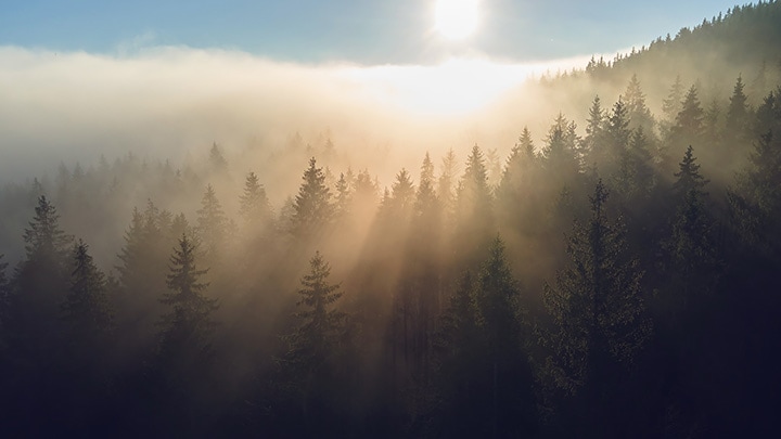 Climate Transition Plan video