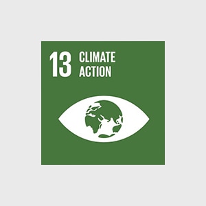 UN SDG 13