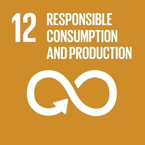 UN SDG 12