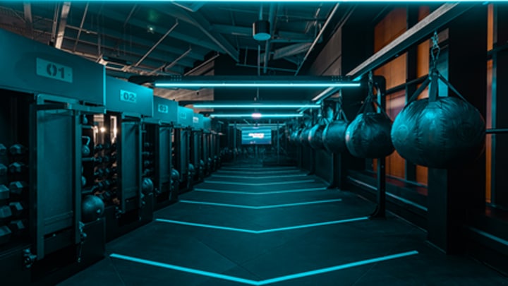 Illuminating Everlast Gyms