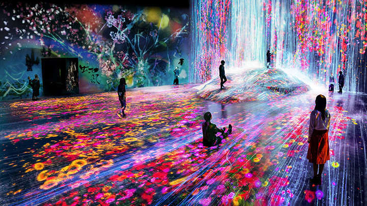 Immerse yourself in the borderless world of digital art with teamLab Borderless