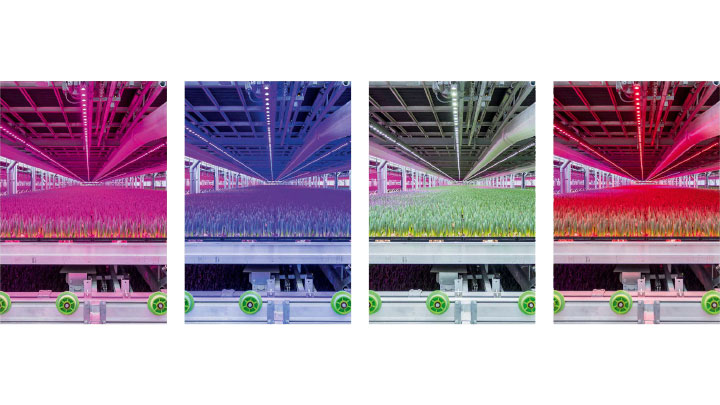 If you’re interested in learning how LED lighting, specifically, dynamic LED lighting, is changing the horticulture industry, you’ll want to check in with Signify at 2019 Indoor Ag-Con in Las Vegas, May 22-24. 
