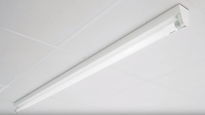 philips mansfit