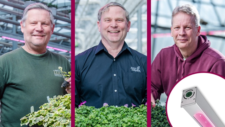 Three leading young plant propagators talk about their outstanding results growing under Philips LED toplighting