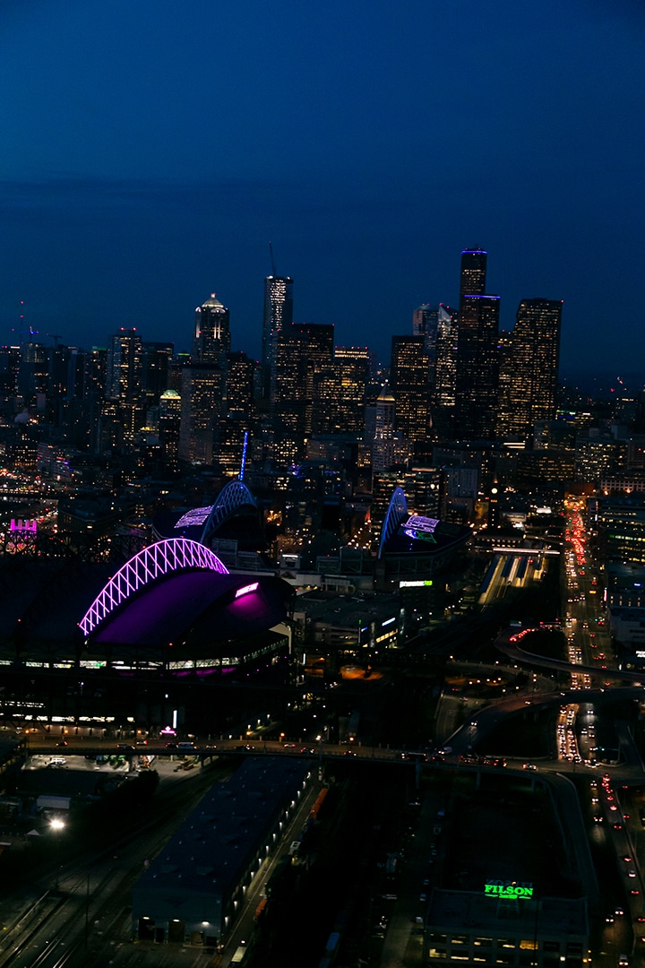 t-mobile-park-roof-city-skyline