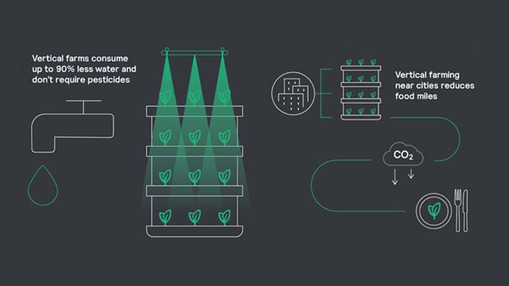 Philips grow lights vertical farming