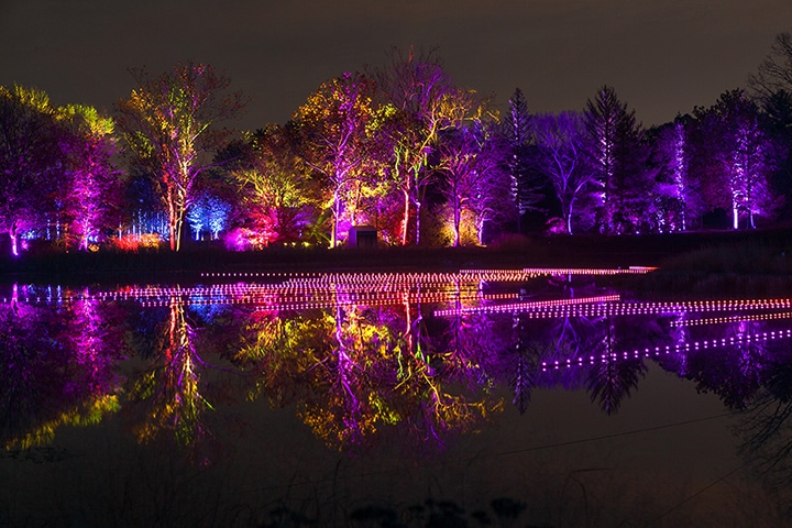 morton arboretum pond