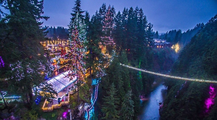 capilano suspension bridge park