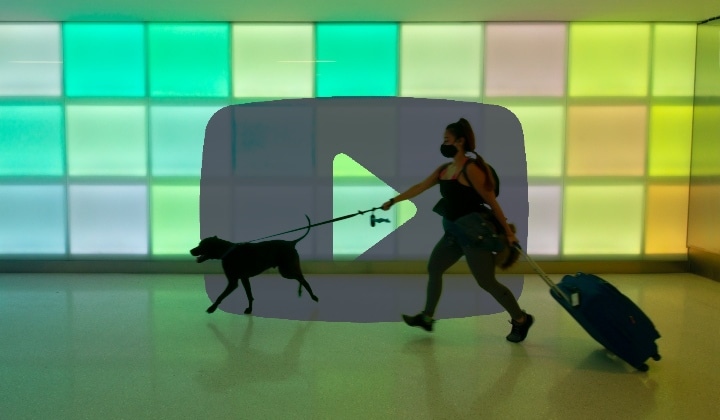 youtube image