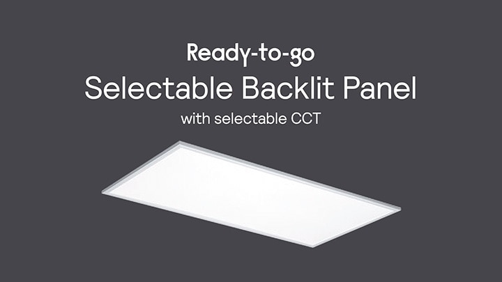  RTG - Daybrite - Selectable Backlit Panel