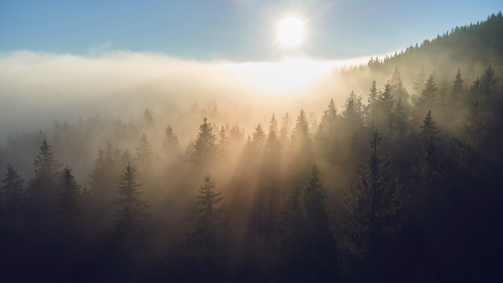 Cómo alcanzar las cero emisiones netas de carbono