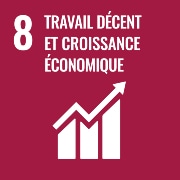 Objectifs de développement durable-8