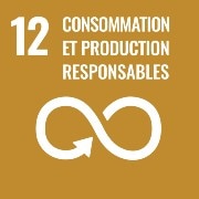 Objectifs de développement durable-12