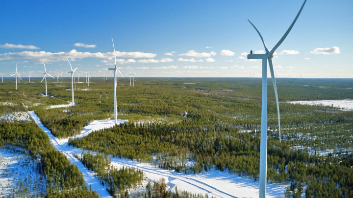 Signify, Heineken, Nobian e Philips per l’energia rinnovabile