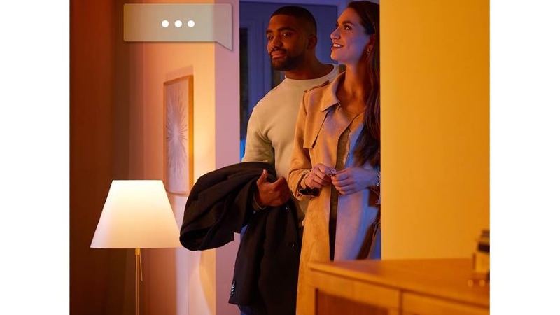 Philips hue stembediening