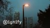 Signify