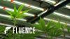Fluence