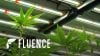 Fluence