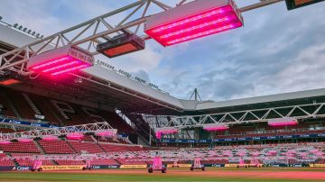 World-class turf quality all year round