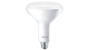 Philips GreenPower LED flowering lamp