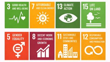 SDG-er
