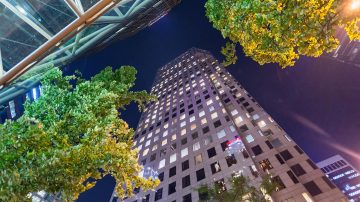 Building and trees with warm night-time lighting