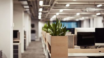 Office hallway with plants
