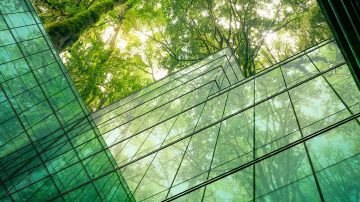Modern building with glass panels reflecting green trees