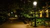 Park path at night with clear lighting